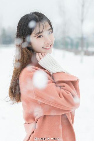 2026新澳正版资科免费实